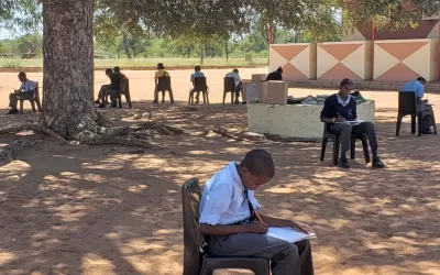 Art lessons for the school children