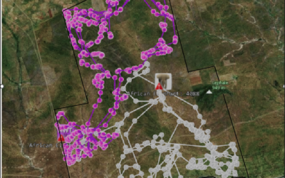 Understanding Elephant Behaviour at Limpopo-Lipadi