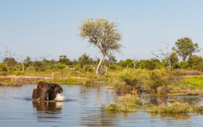 Managing water in a dryland