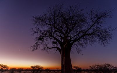 The beauty of the night sky