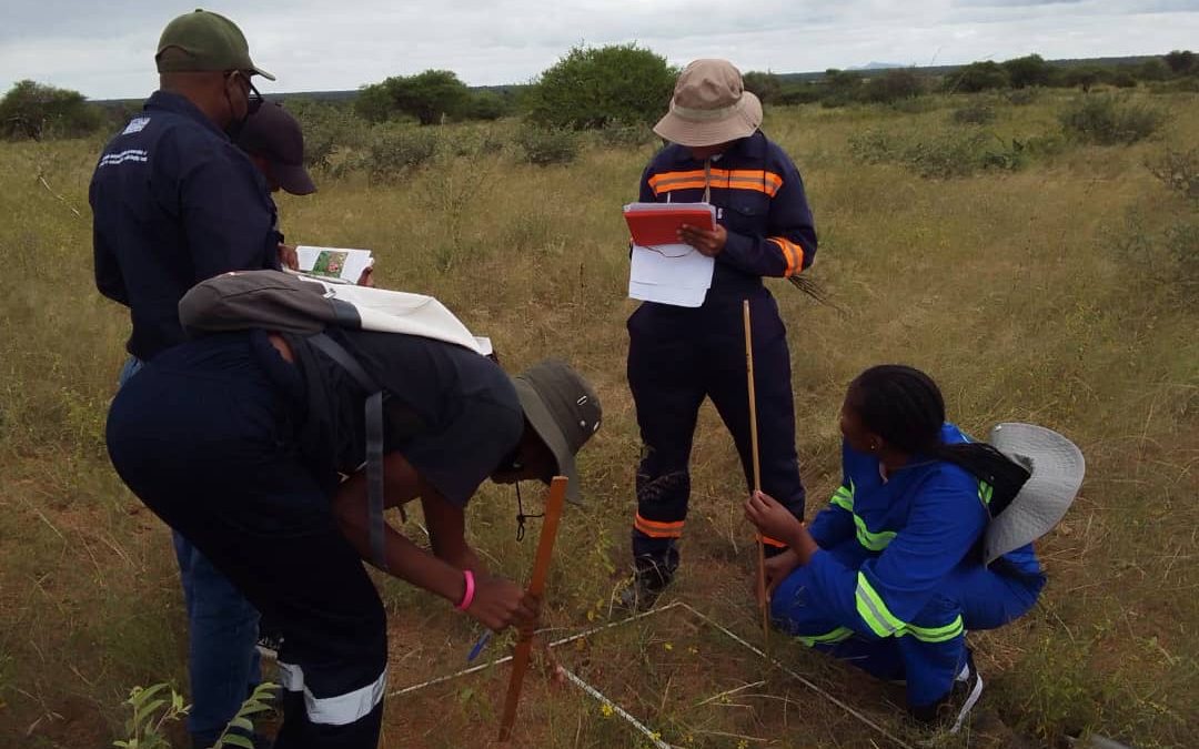 The importance of science in conservation