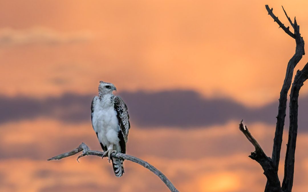 Sunset Makes for Stunning Photography