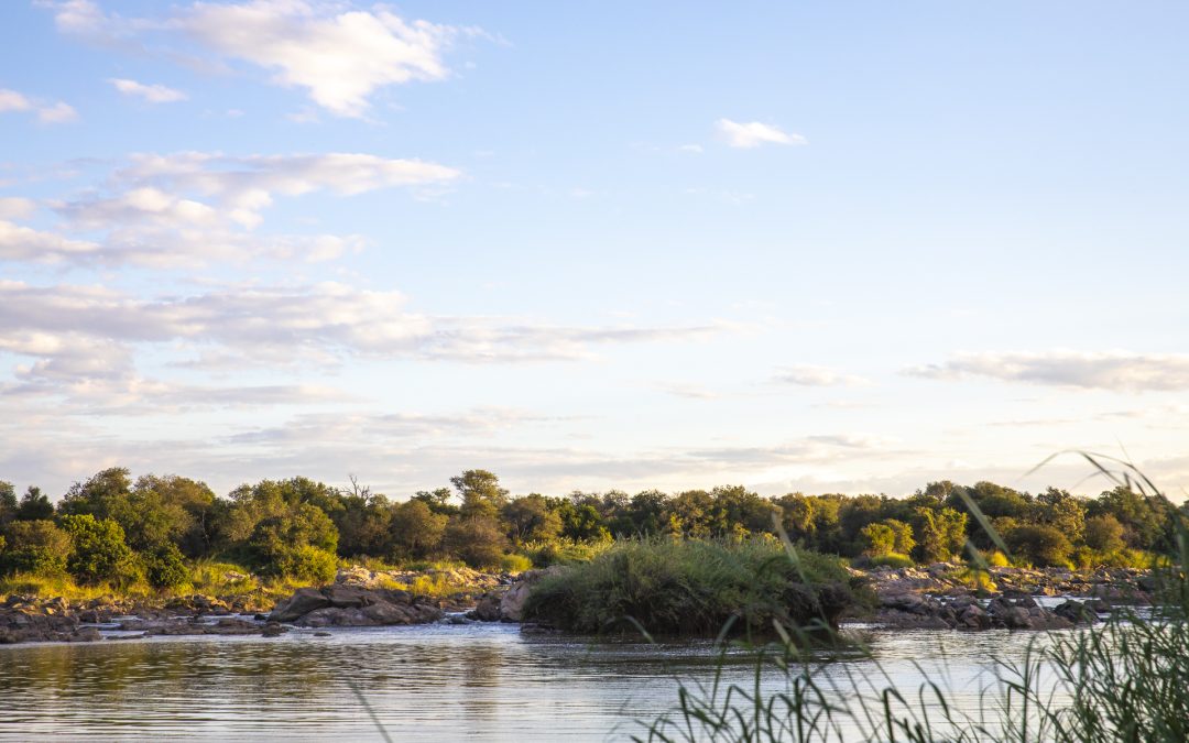 Downstream Along the Limpopo River