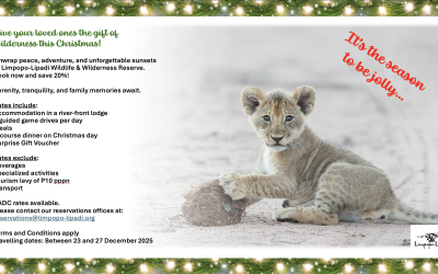 Christmas in the Wild