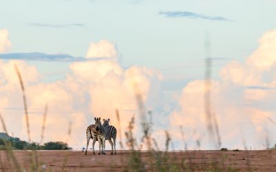 The airstrip that belongs to everyone
