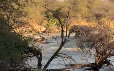 Following the river at Limpopo-Lipadi