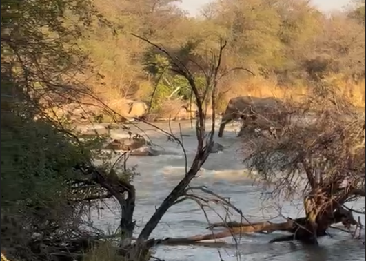 Following the river at Limpopo-Lipadi